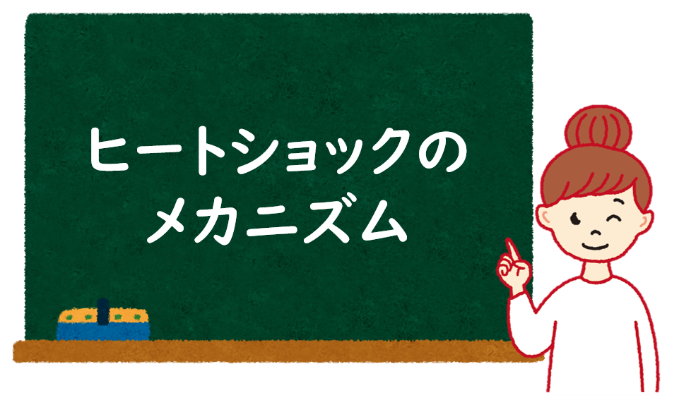 ヒートショックのメカニズム